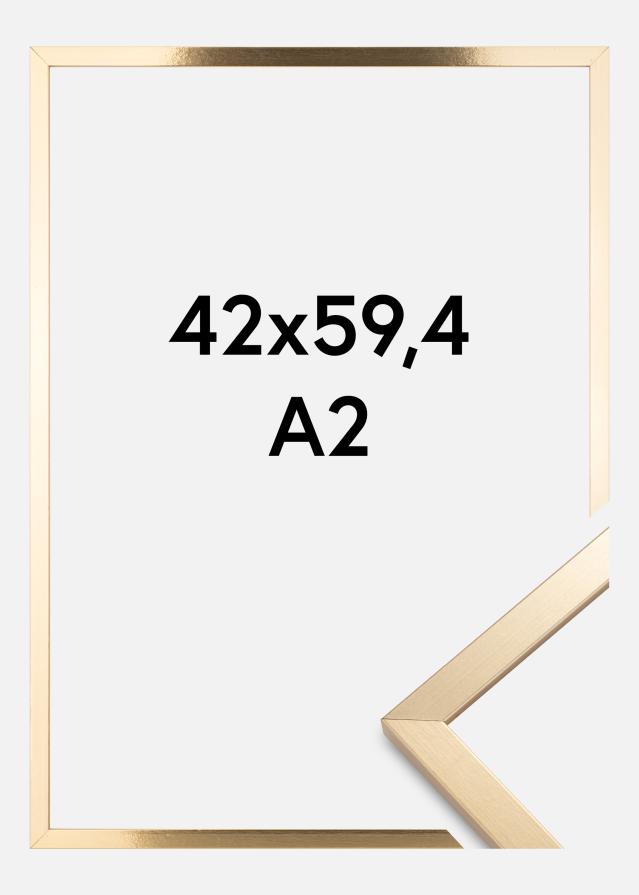 Raam Trendy kuldne 42x59,4 cm (A2)