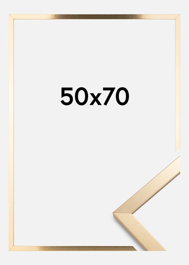 Raam Trendy kuldne 50x70 cm