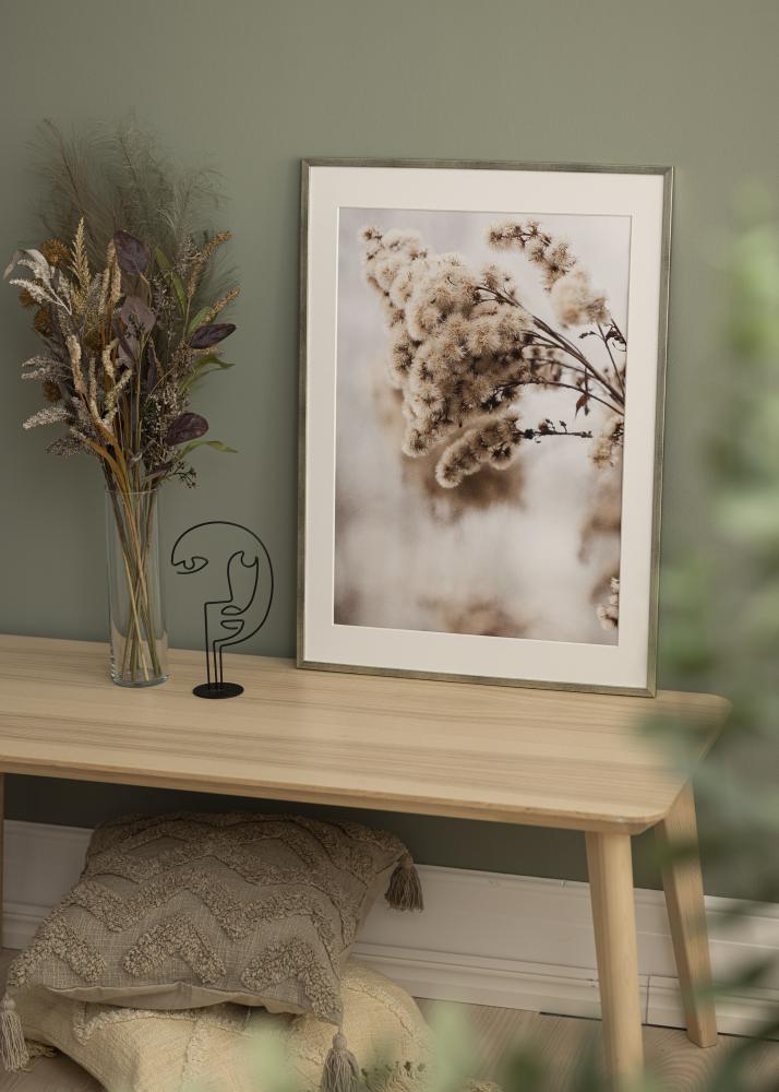 Raam Galant hobedane 40x50 cm - paspartuu valge 27x35 cm