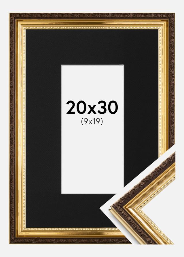 Raam Abisko kuldne 20x30 cm - paspartuu muster 10x20 cm