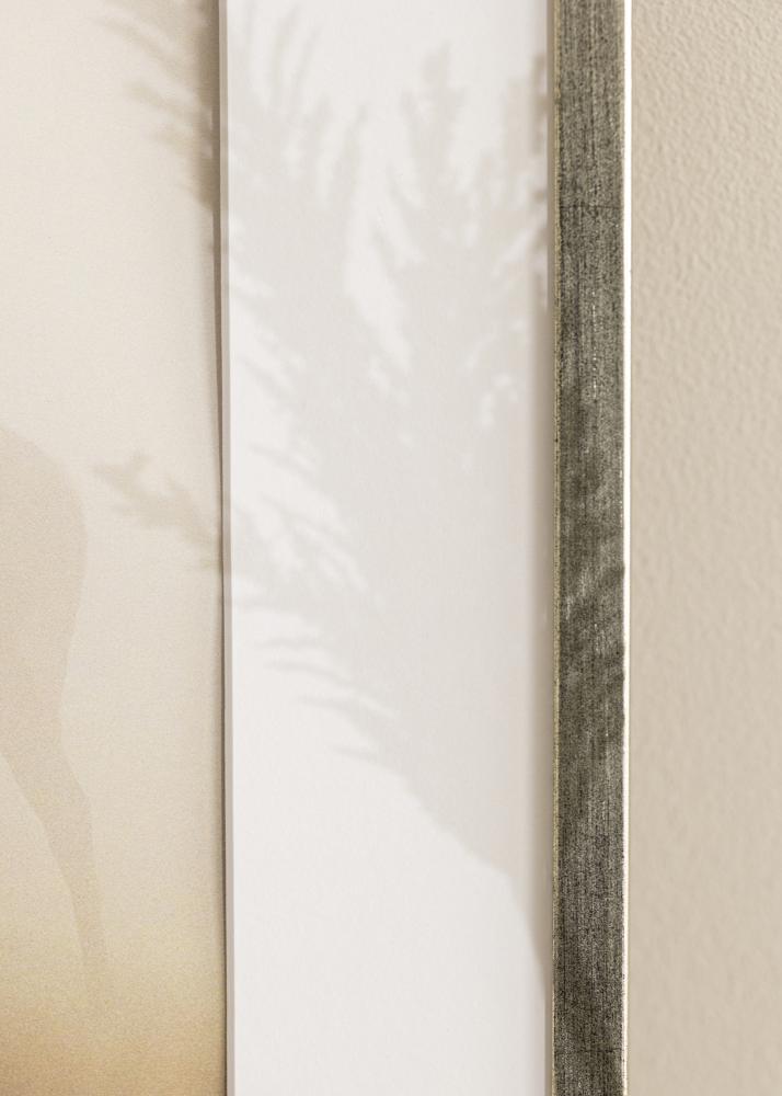 Raam Galant hobedane 40x50 cm - paspartuu valge 27x35 cm