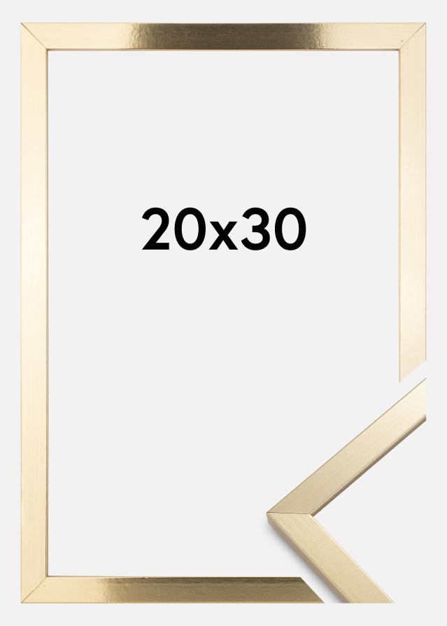 Raam Trendy Akruulklaas kuldne 20x30 cm