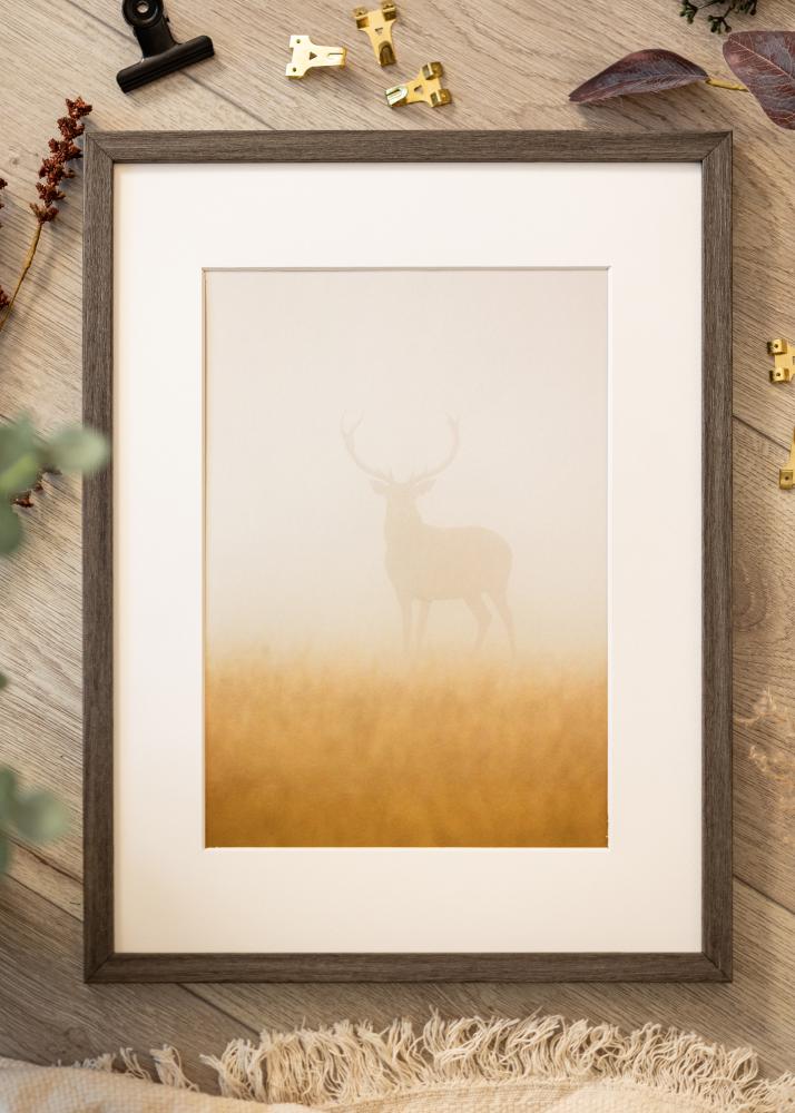 Raam Ares Akruulklaas Grey Oak 45x60 cm