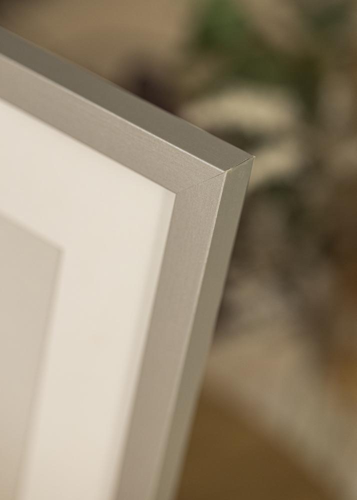 Raam Selection hobedane 50x70 cm - paspartuu valge 42x59,4 cm (A2)