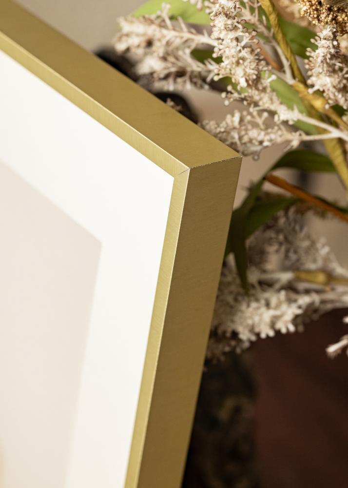 Raam Nielsen preemium Alpha harjatud kuldne - Vabalt valitav suurus