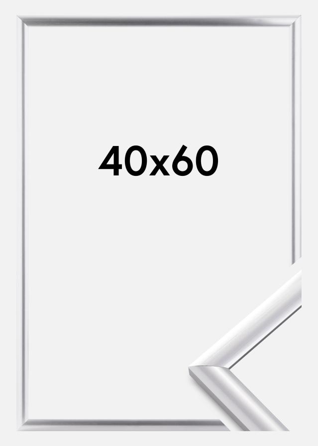 Raam Trendstyle hobedane 40x60 cm