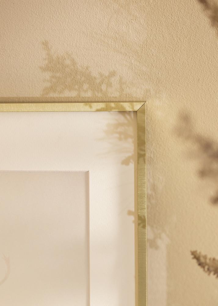 Raam Nielsen preemium Alpha harjatud kuldne - Vabalt valitav suurus