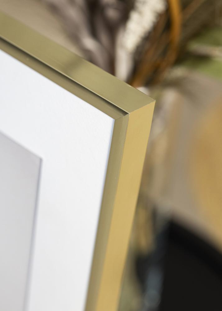 Raam Plakat Frame Aluminum Gold 60x80 cm - paspartuu valge 50x70 cm