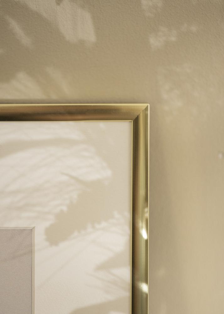 Raam Plakat Frame Aluminum Gold 60x80 cm - paspartuu valge 50x70 cm