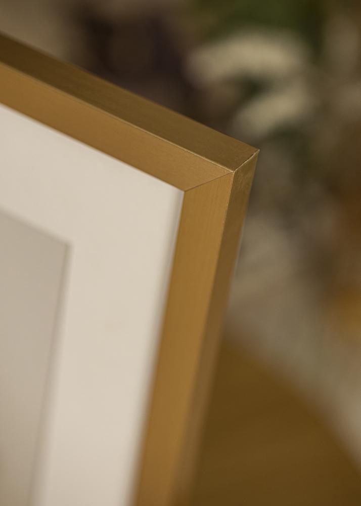 Raam Selection kuldne 60x90 cm - paspartuu valge 50x75 cm