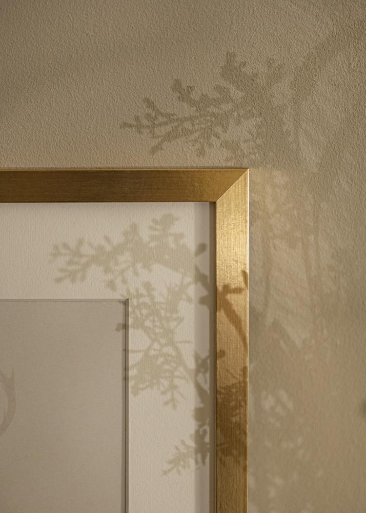 Raam Selection kuldne 60x90 cm - paspartuu valge 50x75 cm