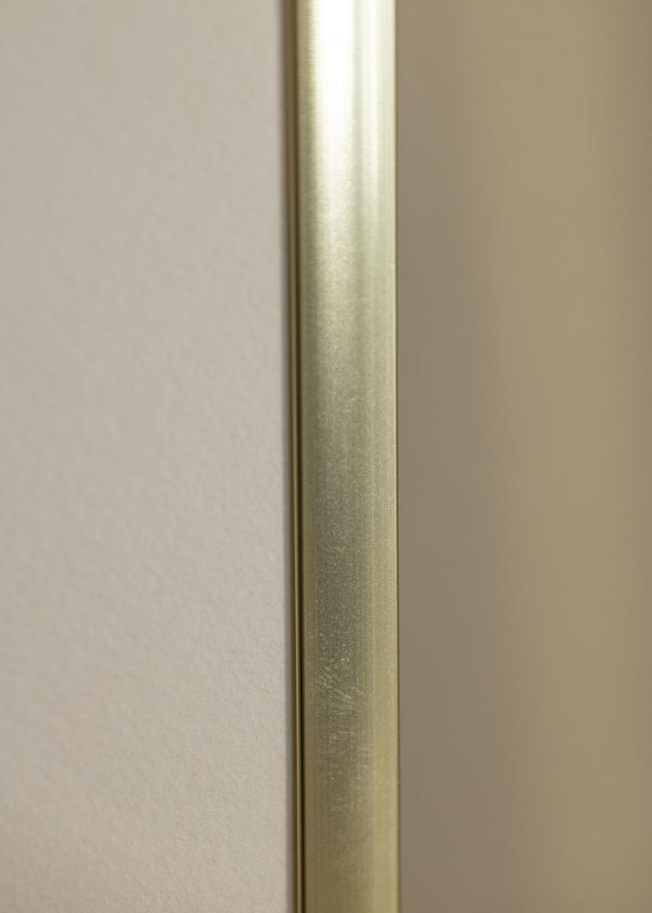 Raam Plakat Frame Aluminum Gold 60x80 cm - paspartuu valge 50x70 cm