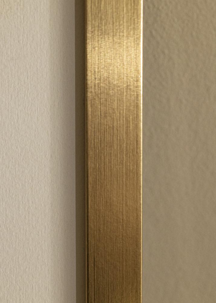 Raam Selection kuldne 60x90 cm - paspartuu valge 50x75 cm