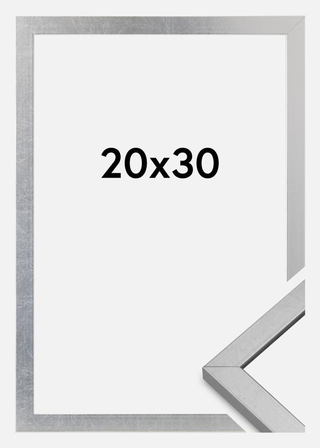 Raam Minerva Akruulklaas hobedane 20x30 cm