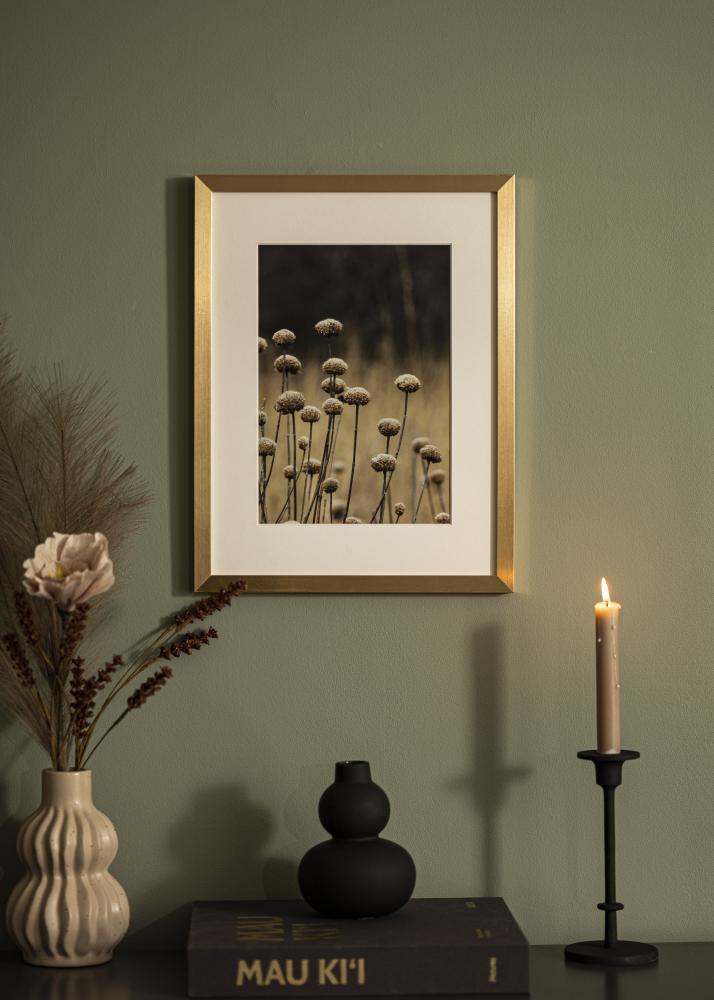 Raam Selection kuldne 60x90 cm - paspartuu valge 50x75 cm