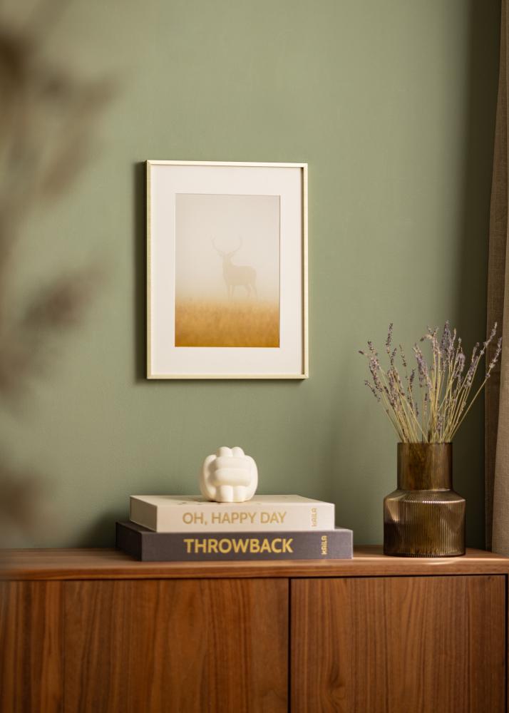 Raam Nielsen preemium Alpha harjatud kuldne - Vabalt valitav suurus