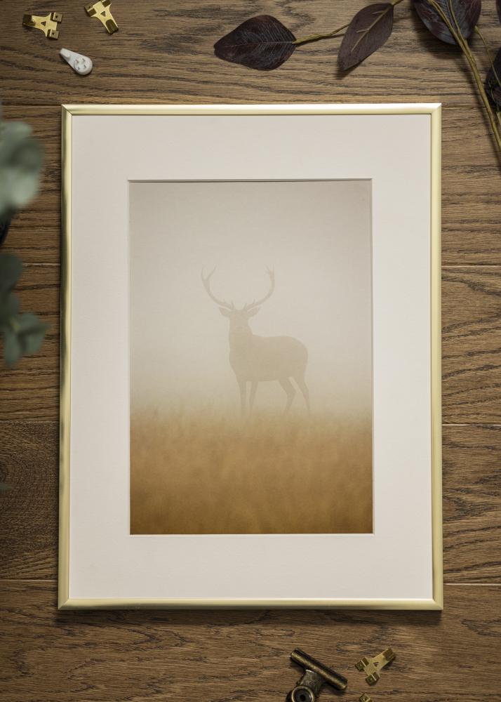 Raam Plakat Frame Aluminum Gold 60x80 cm - paspartuu valge 50x70 cm