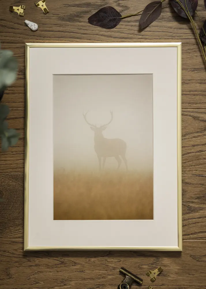 Raam Plakat Frame Aluminum Akruulklaas Gold 70x100 cm