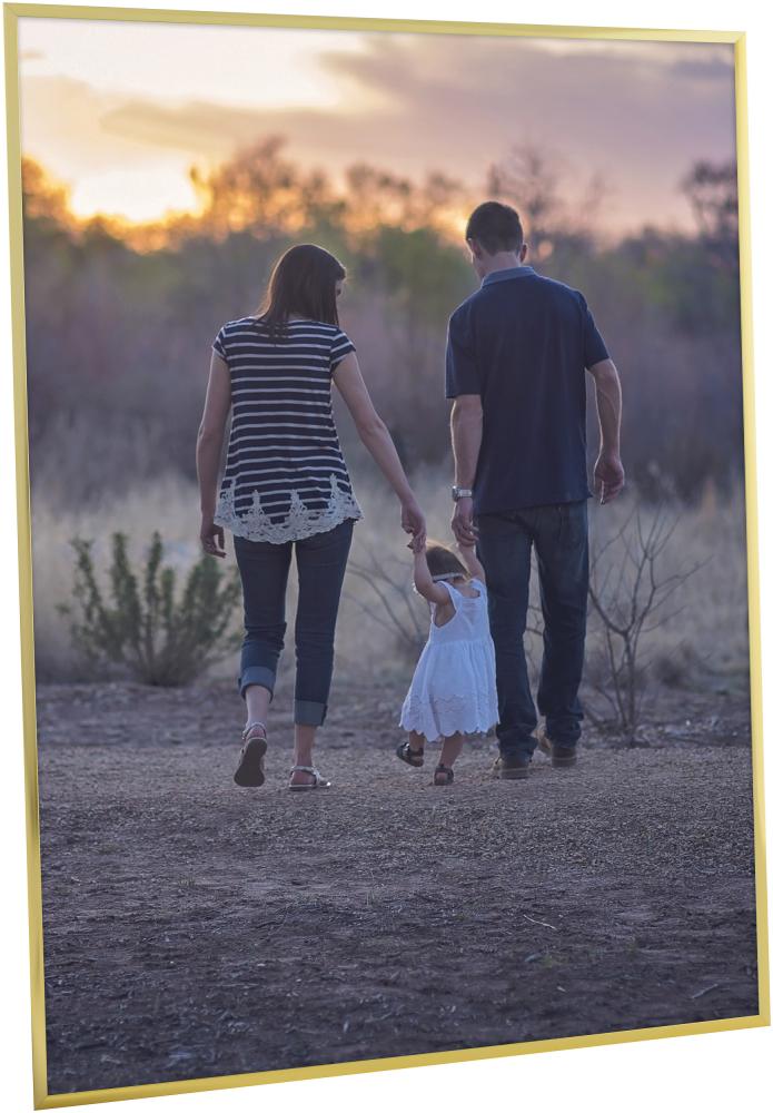 Raam Poster Frame Aluminum Gold 70x100 cm - paspartuu muster (A1)