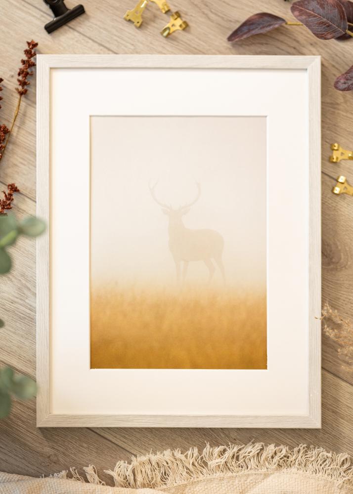 Raam Ares Akruulklaas White Oak 45x60 cm