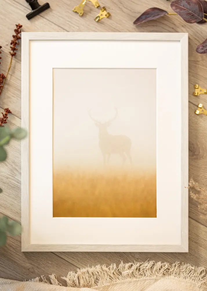 Raam Ares Akruulklaas White Oak 21x29,7 cm (A4)