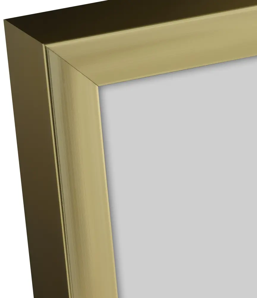 Raam Plakat Frame Aluminum Gold 60x80 cm - paspartuu muster 50x60 cm