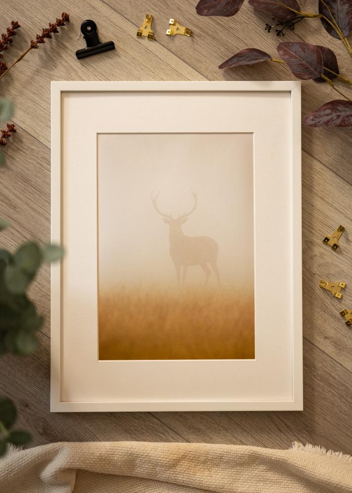 Raam Oslo valge - Vabalt valitav suurus