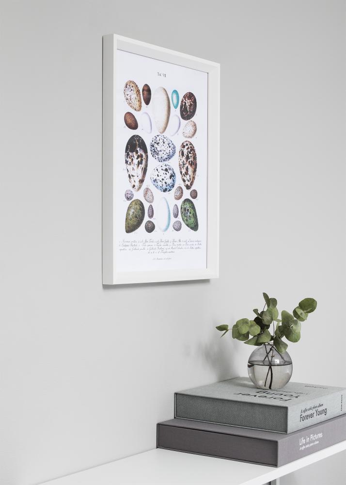 Raam Globe valge 50x60 cm - paspartuu muster 16x20 inches