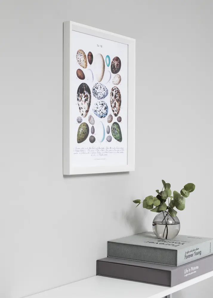Raam Globe valge 70x70 cm - paspartuu muster 60x70 cm