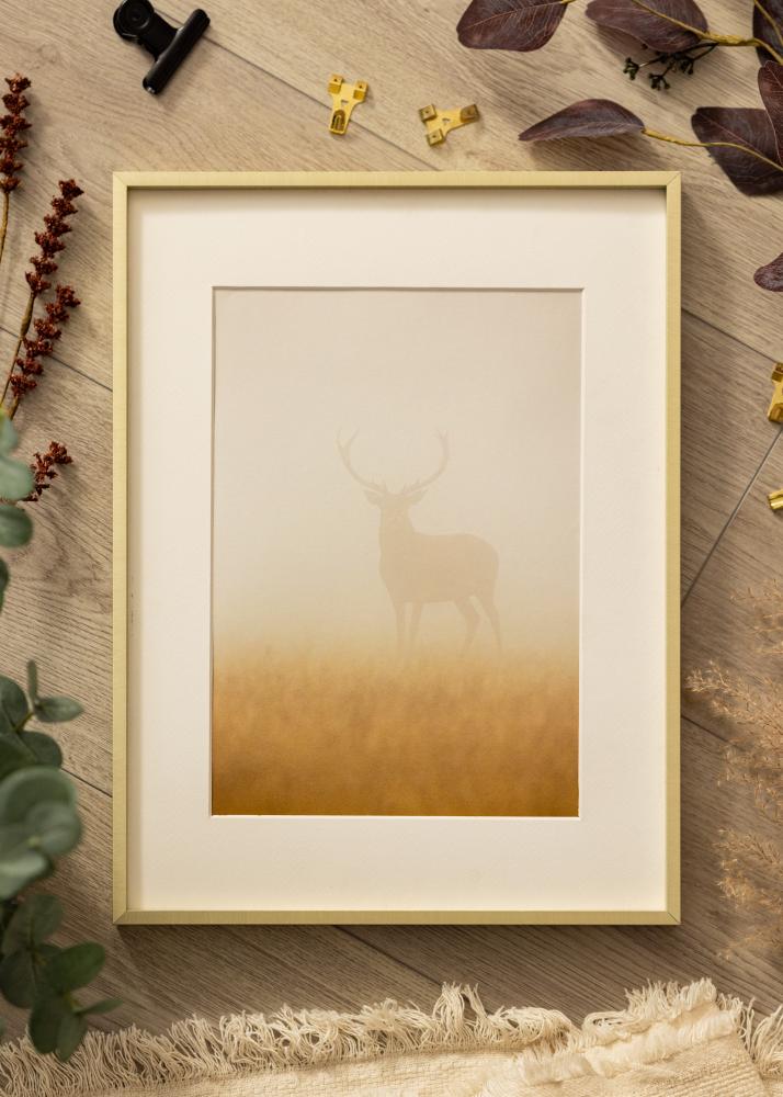 Raam Nielsen preemium Alpha harjatud kuldne - Vabalt valitav suurus