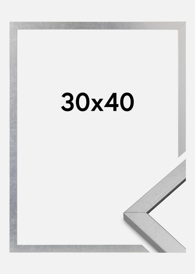 Raam Minerva Akruulklaas hobedane 30x40 cm