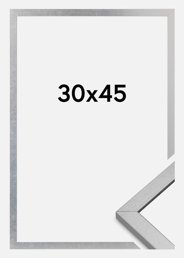 Raam Minerva Akruulklaas hobedane 30x45 cm