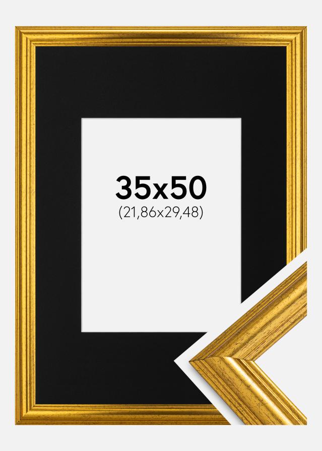 Raam Västkusten kuldne 35x50 cm - paspartuu muster 9x12 inches