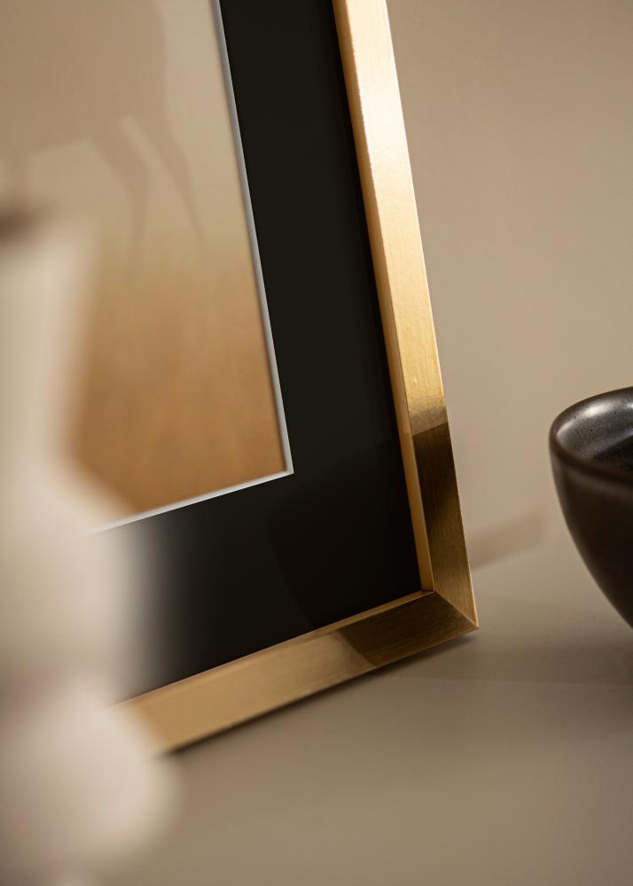 Raam Selection kuldne 13x18 cm - paspartuu muster 9x12 cm