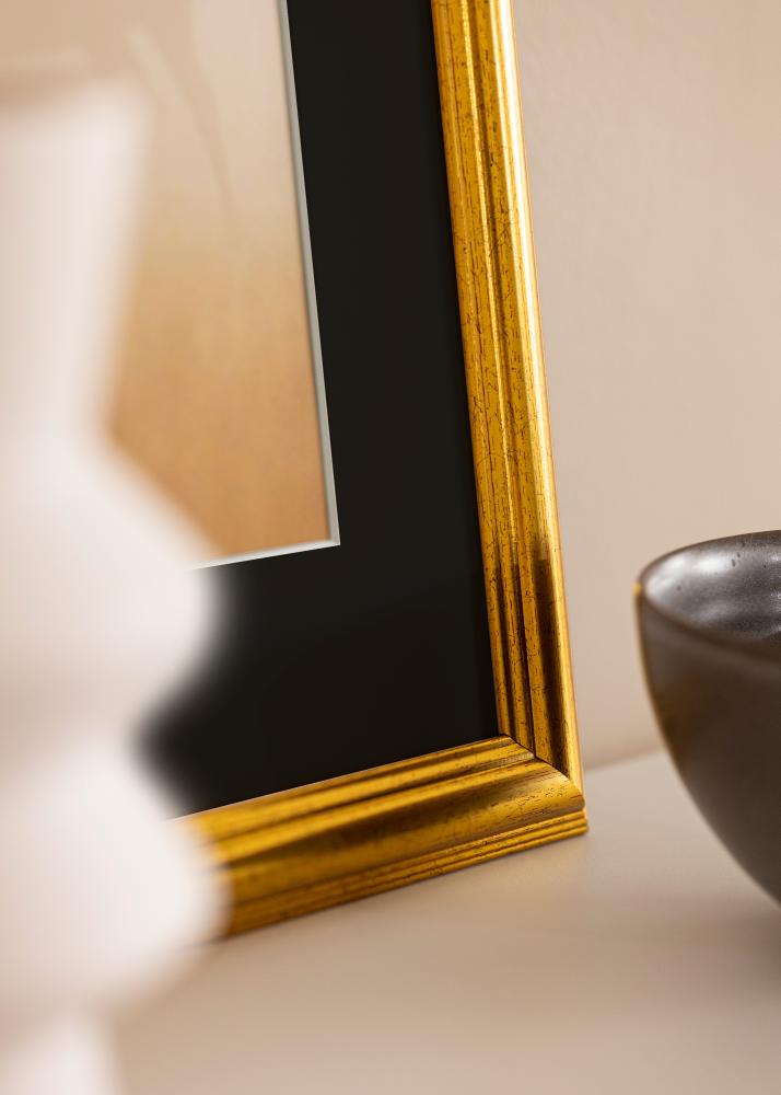 Raam Västkusten kuldne 40x100 cm - paspartuu muster 30x90 cm