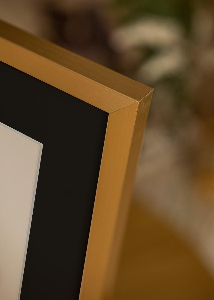 Raam Selection kuldne 13x18 cm - paspartuu muster 9x12 cm