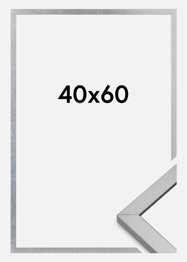 Raam Minerva Akruulklaas hobedane 40x60 cm