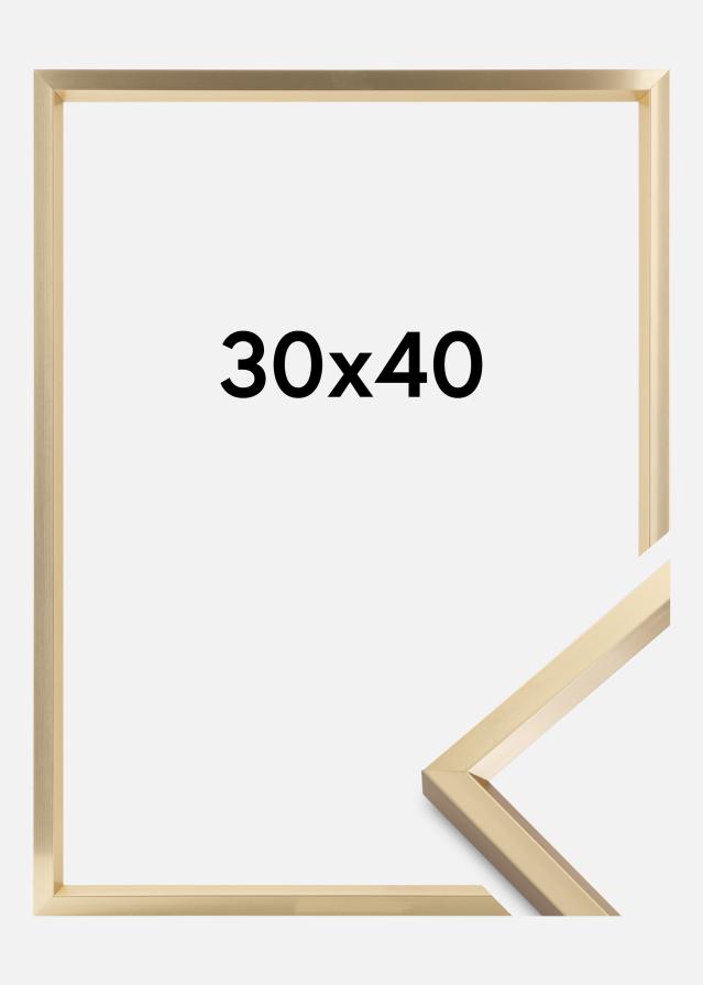 Raam Steel Style kuldne 30x40 cm