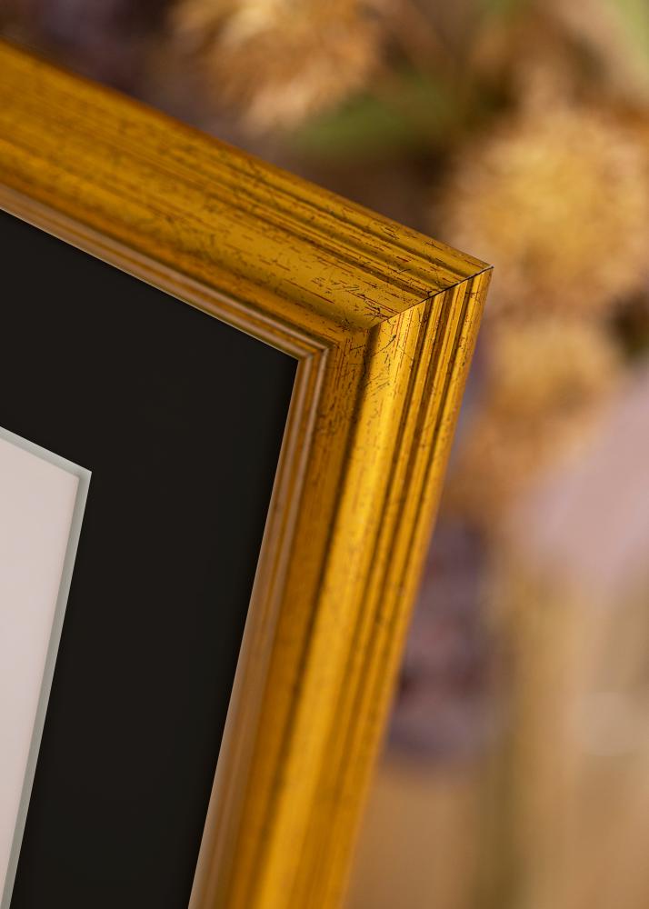 Raam Västkusten kuldne 40x100 cm - paspartuu muster 30x90 cm