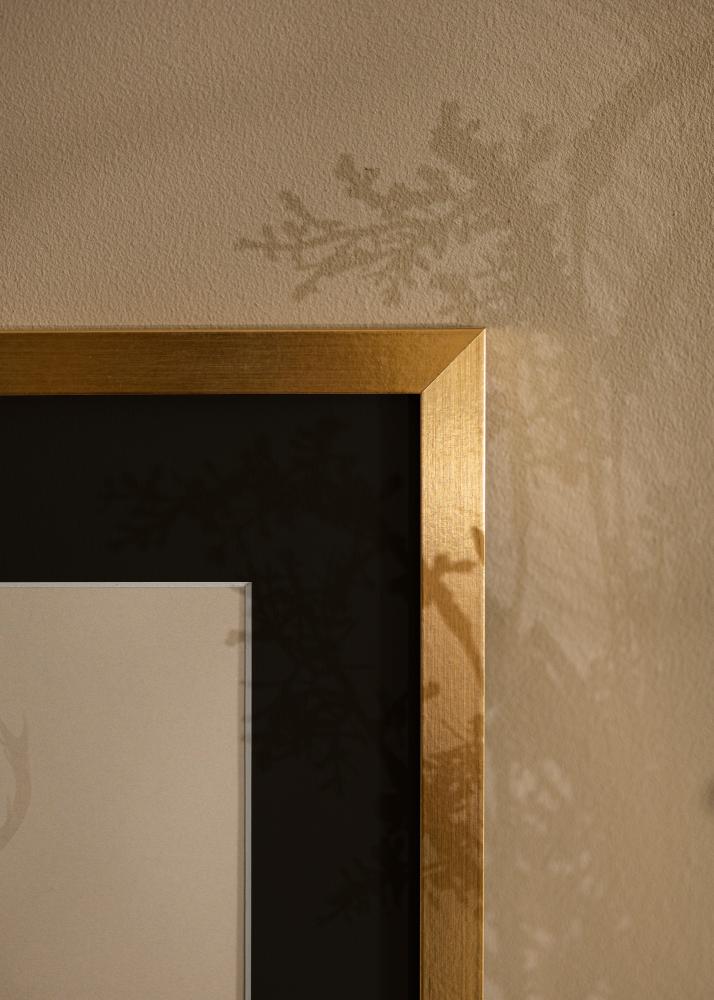 Raam Selection kuldne 13x18 cm - paspartuu muster 9x12 cm