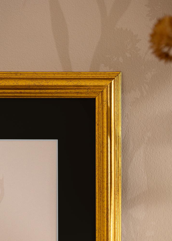 Raam Västkusten kuldne 40x100 cm - paspartuu muster 30x90 cm