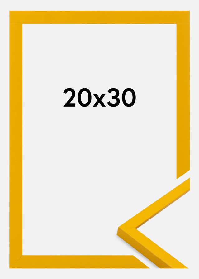 Raam Kent Akrüülklaas Kuld 20x30 cm