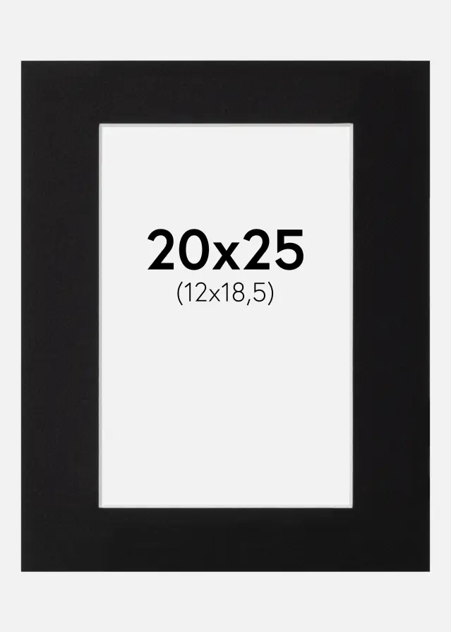 Paspartuu muster standard Valge äär 20x25 cm (12x18,5)