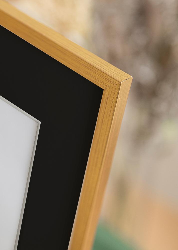 Raam Edsbyn kuldne 30x40 cm - paspartuu muster 8x12 inches