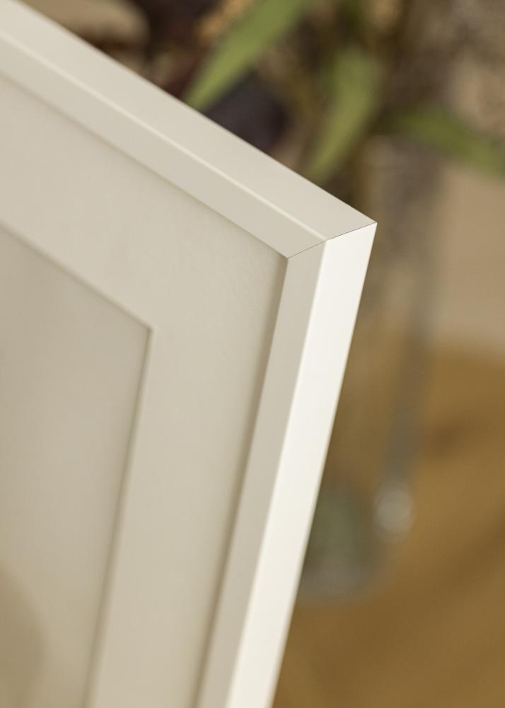 Raam E-Line valge 70x100 cm - paspartuu valge 62x93 cm
