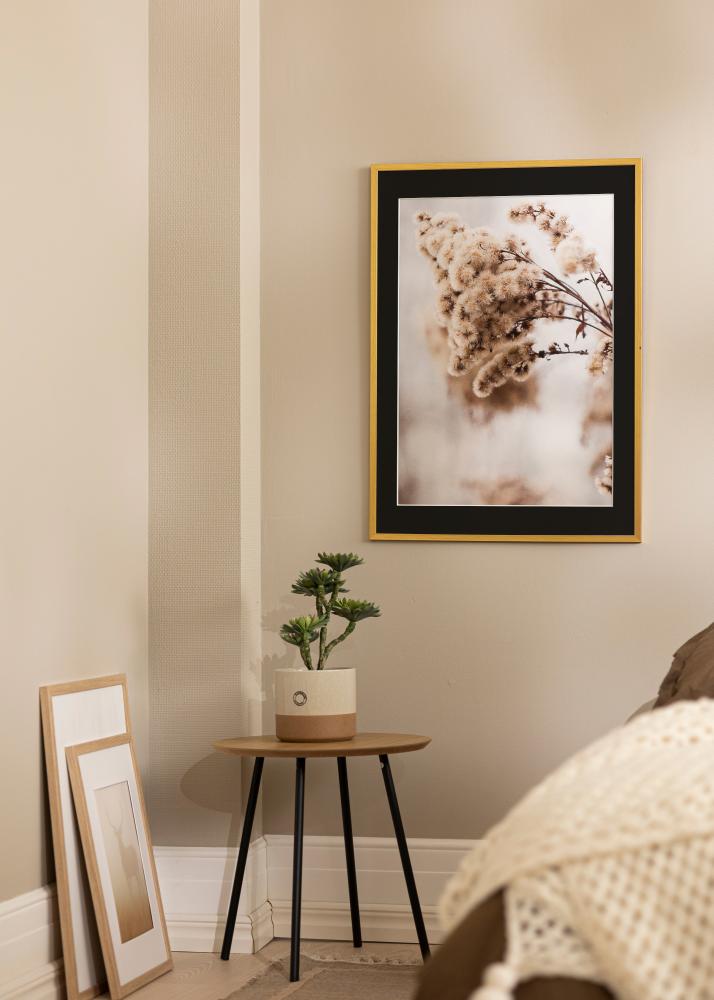 Raam Edsbyn kuldne 30x40 cm - paspartuu muster 8x12 inches