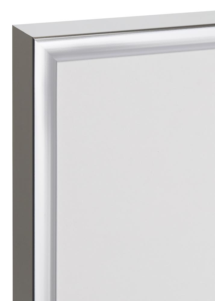 Raam Poster Frame Aluminum hobedane 70x100 cm - paspartuu muster (A1)