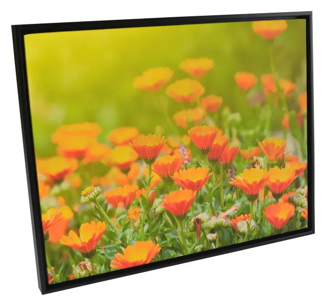 Raam Åsen louendi raam muster - Vabalt valitav suurus