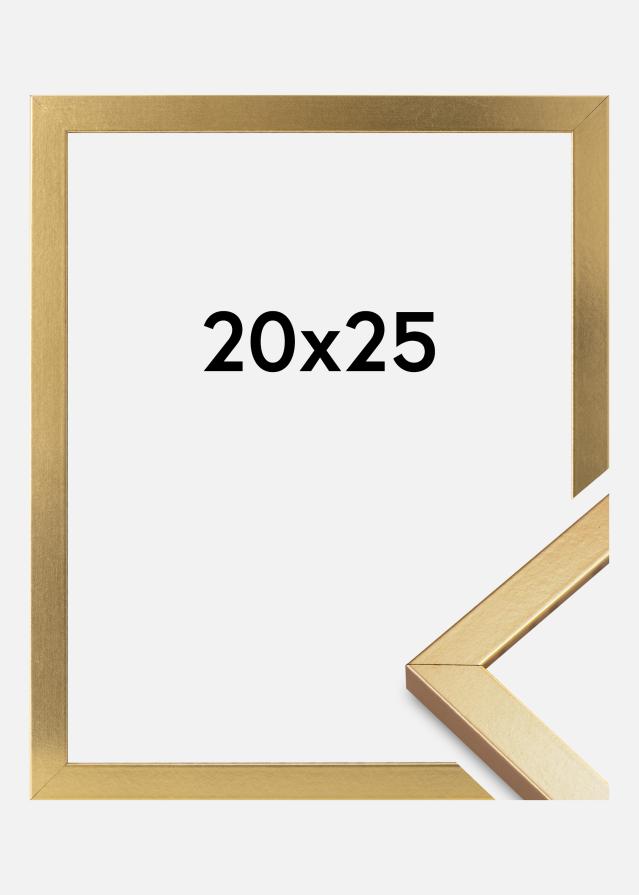 Raam Minerva Akruulklaas kuldne 20x25 cm