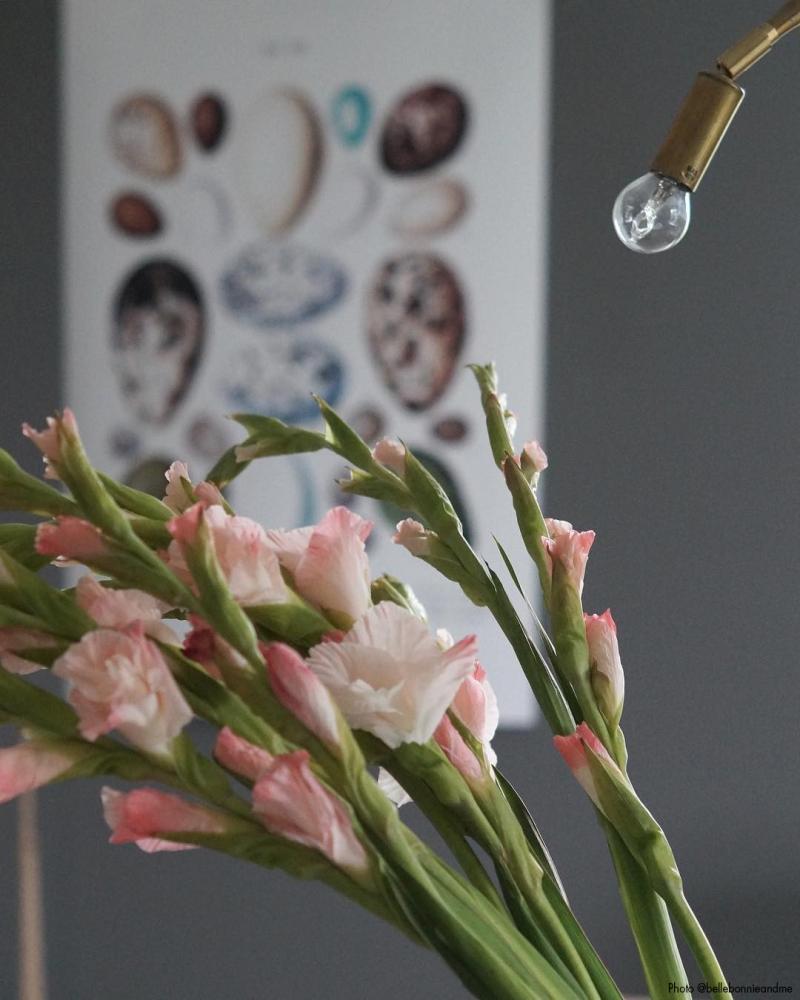 Linnumunadega poster Plakat